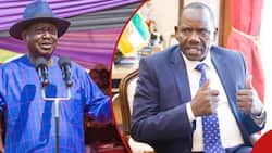 Raila Odinga Cuts Governor Koti Moja to Size after Sneering at Demos: "Katiba Is Product of Maandamano"