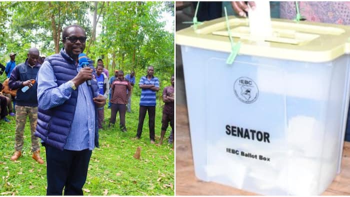 Bungoma by-election: Azimio Candidate Wamunyinyi Accuses Ford Kenya of Plot to Rig Polls