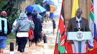 William Ruto Suspends School Reopening until Further Notice Due to Ongoing Floods