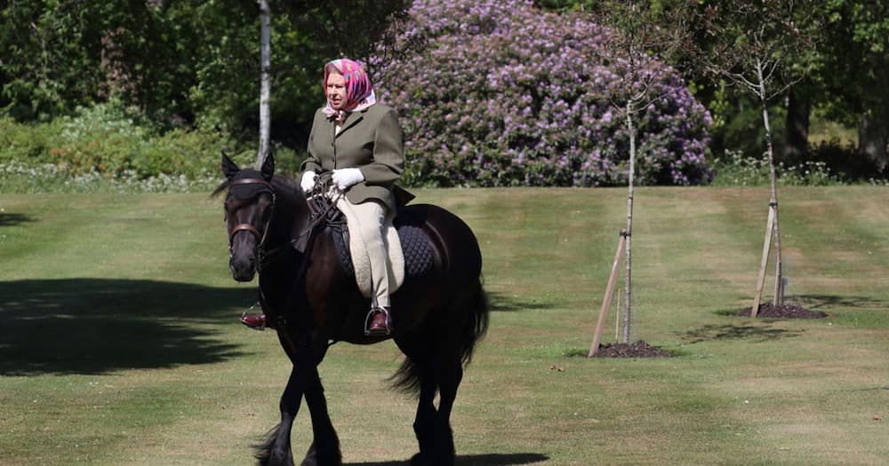Queen Elizabeth II riding a horse at Windsor Castle.