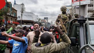 Nairobi: Mahakama Yaruhusu Serikali Kutumia KDF kwa Siku 2 Ili Kurejesha Utulivu
