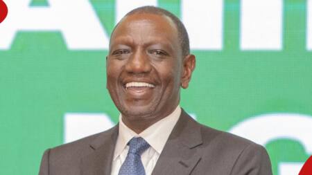 eCitizen Revenue: William Ruto's Govt Collects Over KSh 700m Daily, Targets KSh 1b