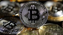 History as El Salvador Becomes First Country to Make Bitcoin Legal Tender, Buys BTC Worth KSh 2.1B