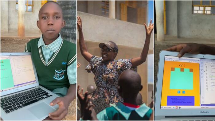 Baringo: Nelly Cheboi-Taught Primary School Kid Impresses Kenyans with Impeccable Coding Skills