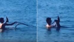 The Booze Will Not Fall: Man Fights Snake in Ocean while Holding Beer