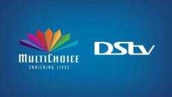 DStv streaming app packages, channels, prices, and compatibility