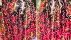 10 cutest butterfly locs with colour you can rock in 2022