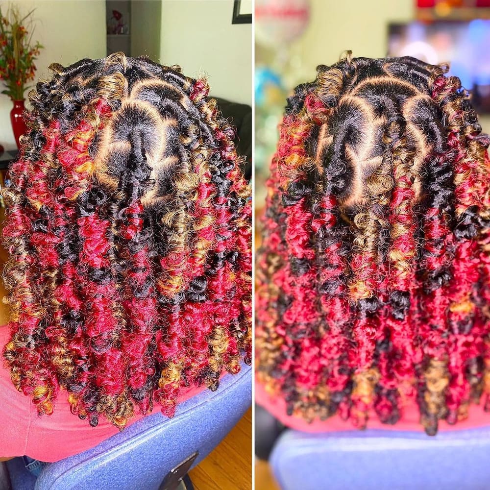 Butterfly locs with colour
