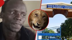 Bold Isiolo Couple Wrestle Lion in Forest, Escape with Injuries