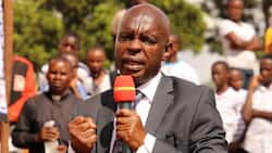 Kivutha Kibwana, Mandago and other Second Term Governors Eyeing Senatorial Seats in August 2022