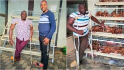 Muthee Kiengei Delighted as Differently Abled Man Gifts Him Modern Chicken House