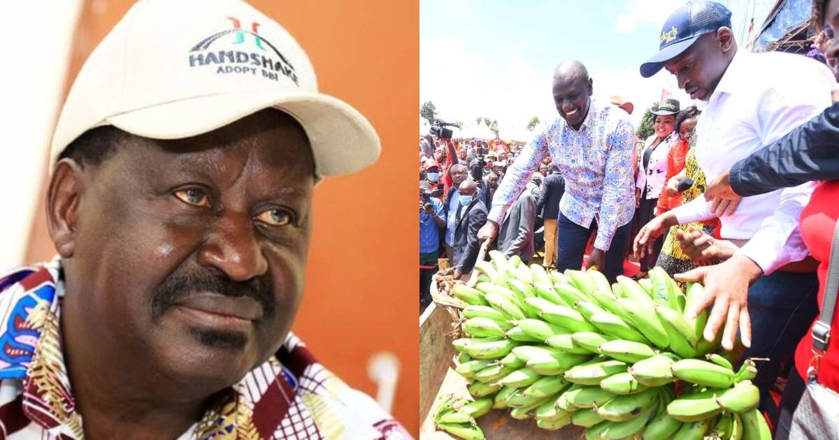 DP Ruto Apanga Kuvamia Ngome ya Raila kwa Wilbaro ili Kuuza Sera za ‘Hustler Nation’ ▷ Kenya News