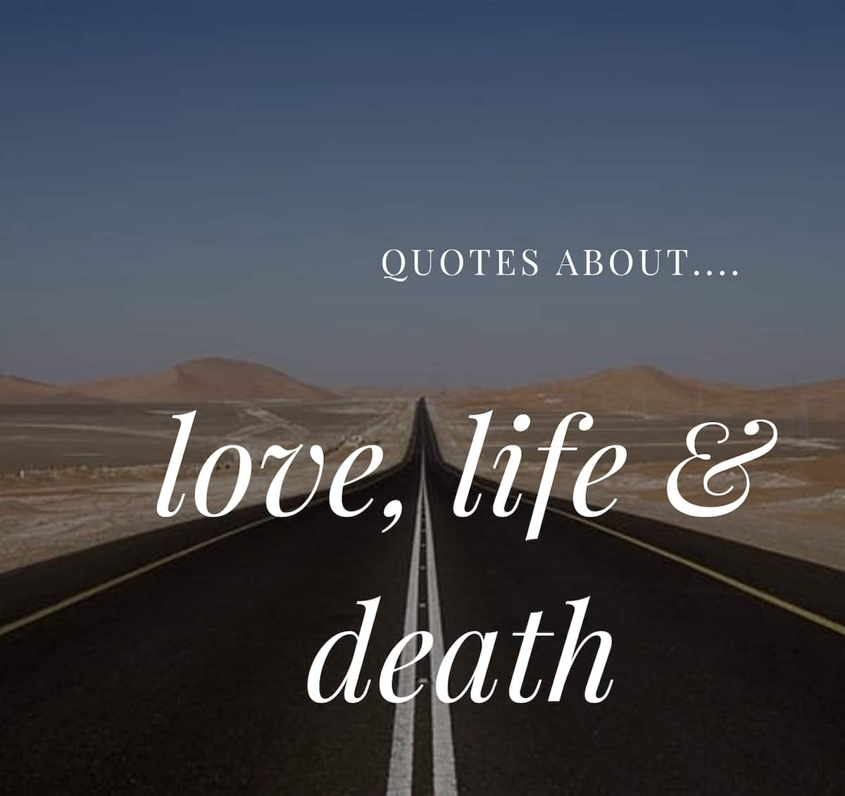short quotes about love and life