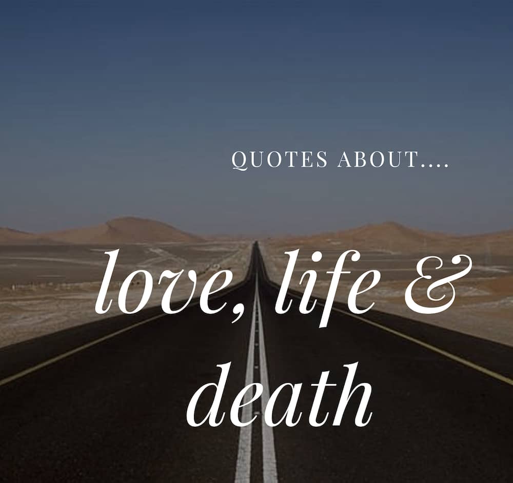 quotes life and love