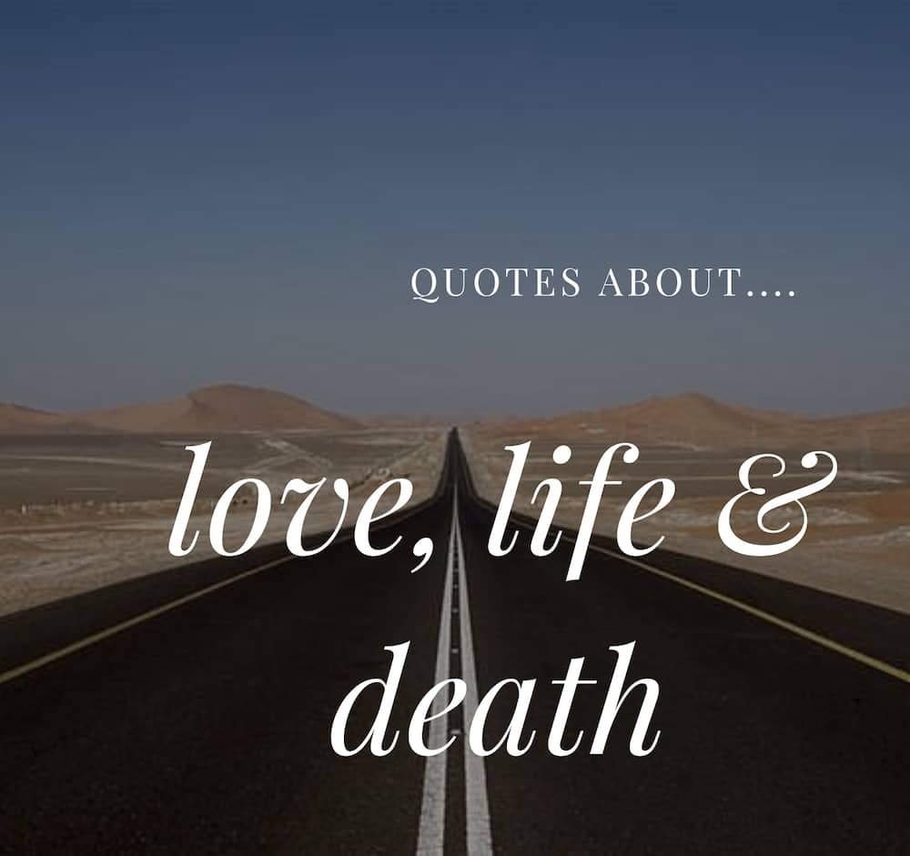 loving life quotes and sayings