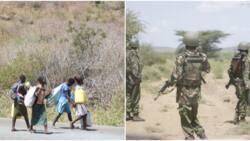 Turkana: Bandits Raid Village in Broad Daylight, Kidnap 11-Year-Old Boy