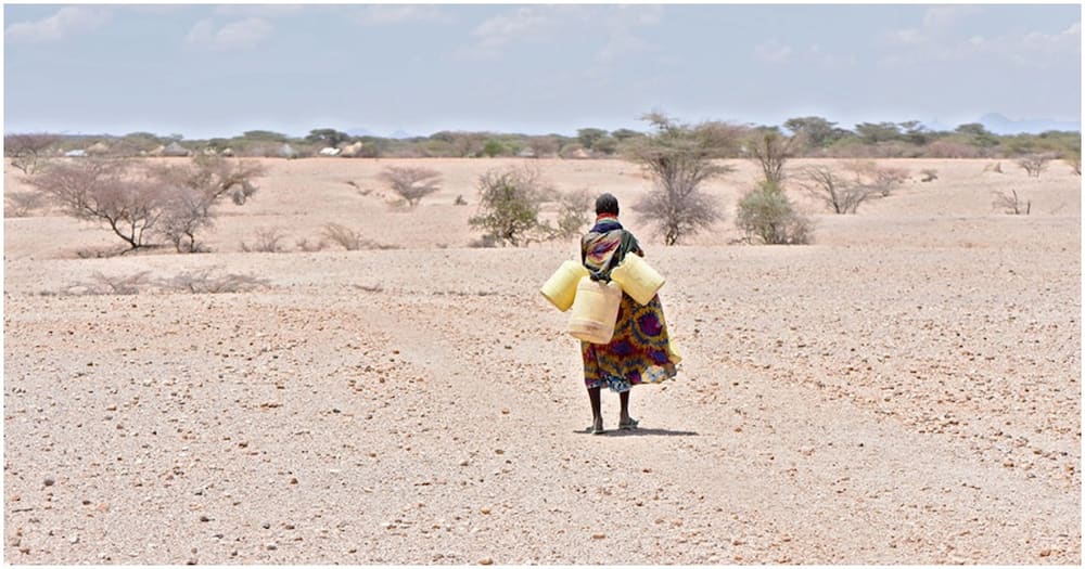 Turkana woman.