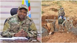 Gov't Suspends Plan to Reopen Kenya-Somalia Border to Curb Increased Terror Attacks