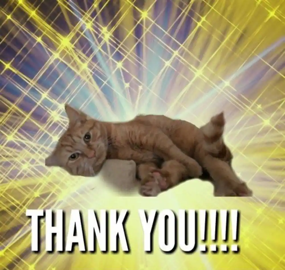 animal thank you meme