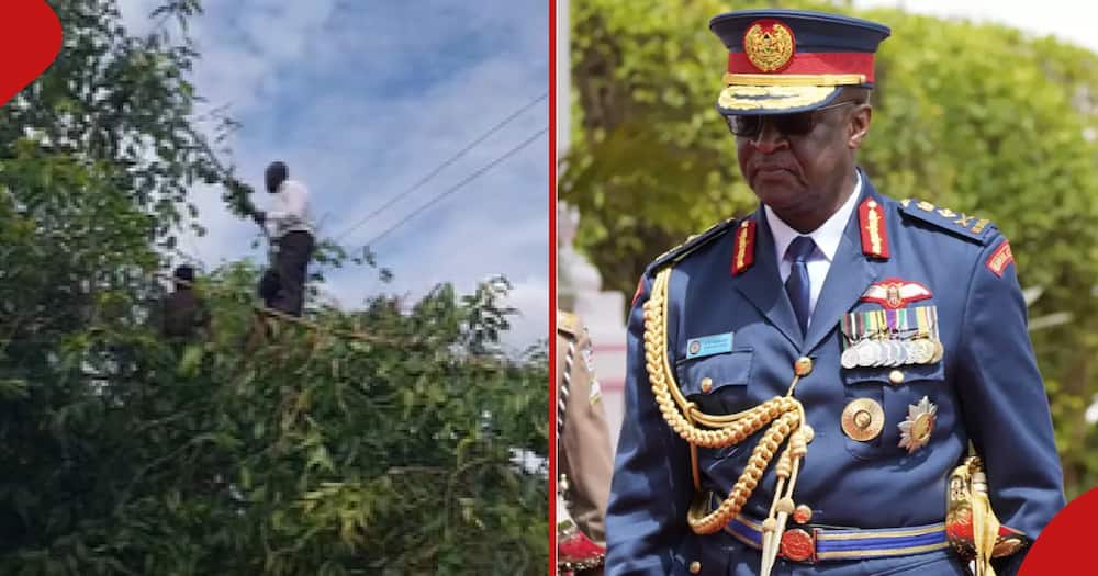 Siaya man (l) on top of tree. Francis Ogolla (r) during an event in his military uniform.