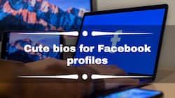 50+ cute bios for Facebook profiles: the best ideas in 2022