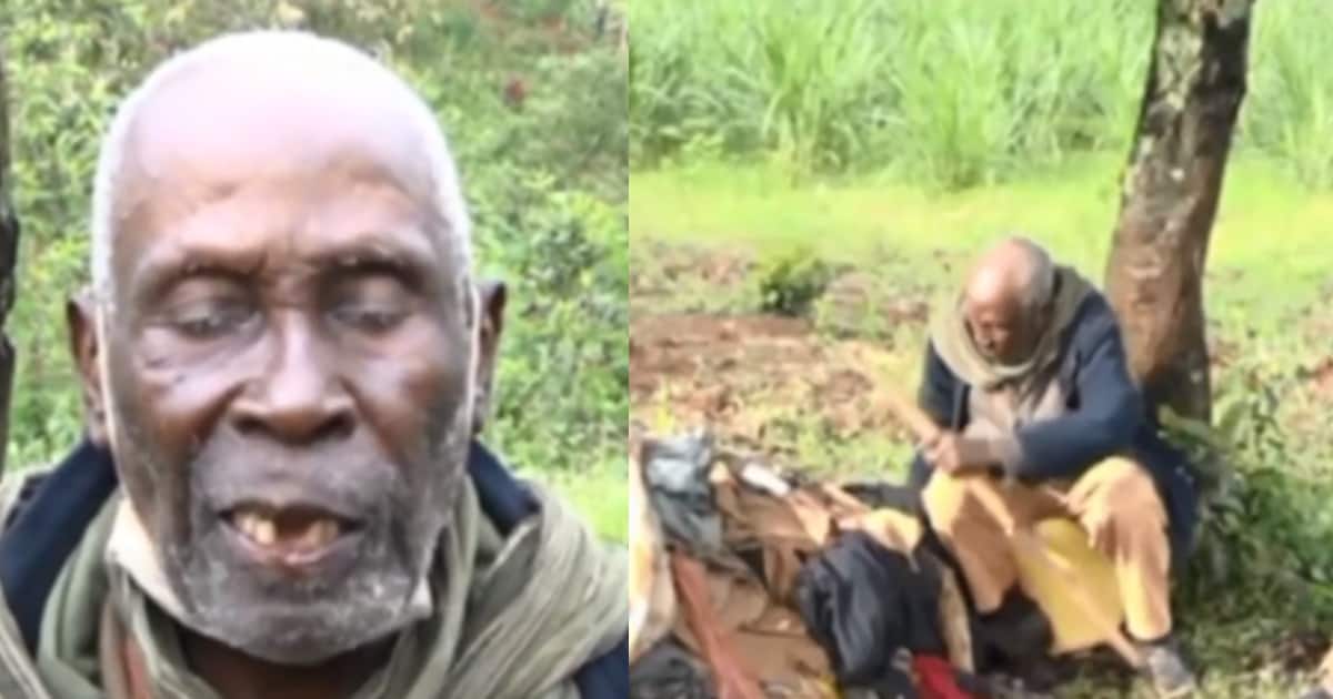 Mzee wa Miaka 79 Anayeishi Chini ya Mti Baada ya Mvua Kuharibu Nyumba Yake ▷ Kenya News