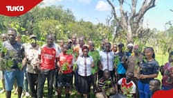 Kakamega: Arsenal Fans Take Advantage of Heavy Rains To Restore Kenya's Forest Cover