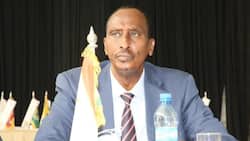 Wajir: County Offices Shut Down after Impeached Governor Forced Way into Premises