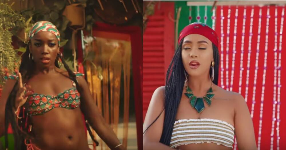 Brazilian singer bashes Diamond, Tanasha for plagiarising entire music video in new jam Gere