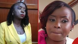 DPP to Appeal Against High Court Judgment Acquitting Jacque Maribe in Monica Kimani's Murder