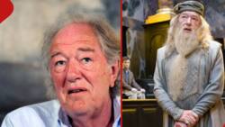 Michael Gambon Famous for Harry Potter Character Dumbledore Dead at 82