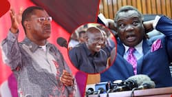Wetang'ula Cracks Up Ruto with Satirical Recap of Atwoli's 'There Will Be No Escape Route' Remarks