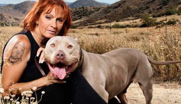 Pit Bulls Parolees What Time Is It On Tv Episode 1 Series 10 Cast List And Preview