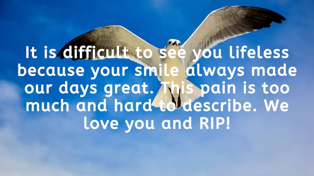 Rest in peace messages and quotes Tuko.co.ke