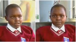 Sylvia Cheptowot: Elgeyo Marakwet Girl Hailed as National Hero after Saving 140 People from Bandit Attack