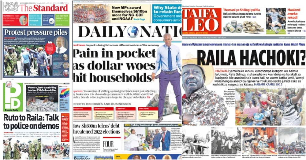 Newspapers. Photo: Screengrabs from The Standard, Daily Nation, People Daily and Taifa Leo.