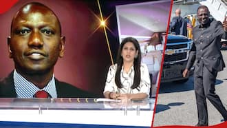 Indian TV Slams William Ruto Over Expensive US Trip, High Taxation: "If It Moves, He Taxes It"