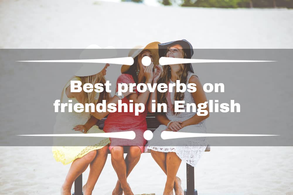 proverbs on friendship
