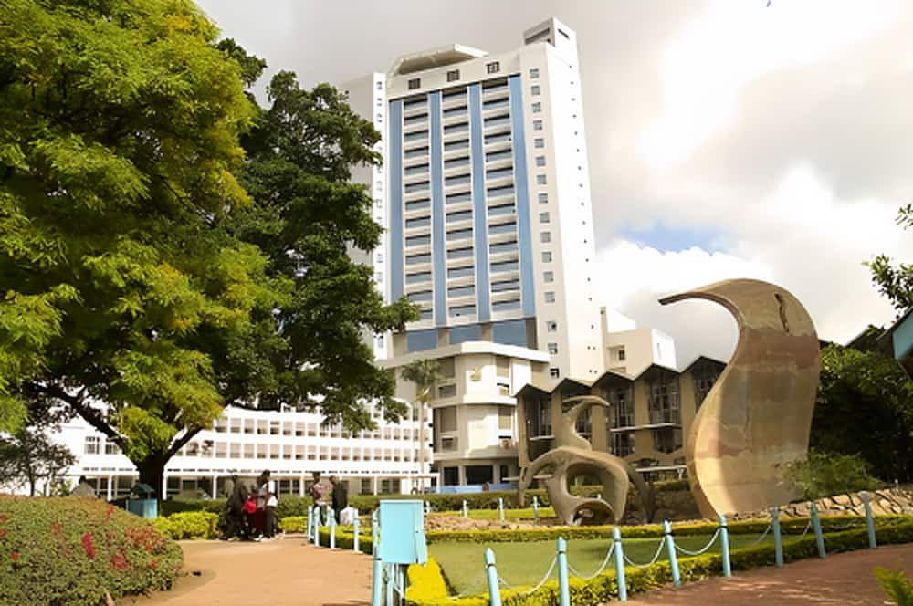 University ranking in Kenya