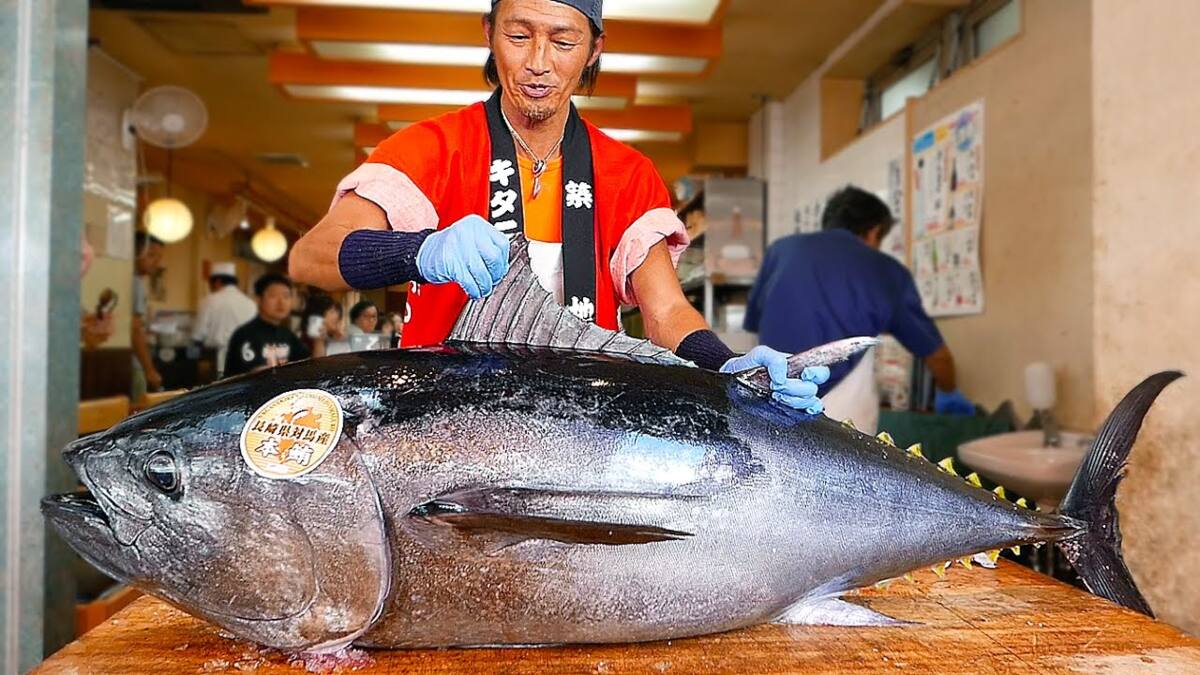 the most valuable fish in the world