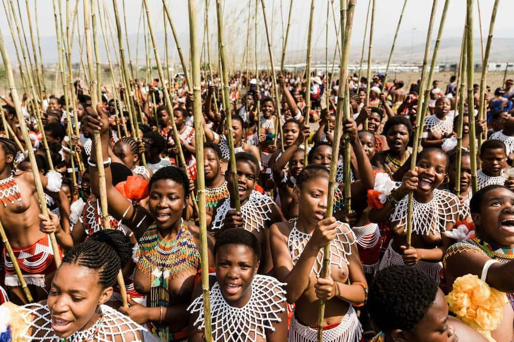 Zulu maidens carrying the long reeds used in the ceremony