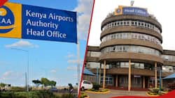 Kenya Airports Authority Announces Jobs for Kenyans with Minimum Requirement of C in KCSE