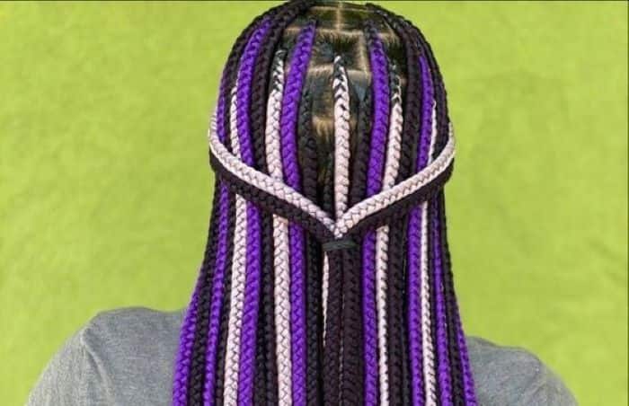 Purple, black, and white braids
