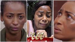Jackie Matubia, Sarah Hassan and Other Zora Stars Pen Emotional Tributes as Show Comes to an End