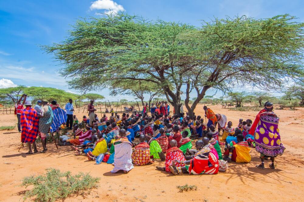 Samburu: Over 6,000 saved from starvation as well wishers intervene