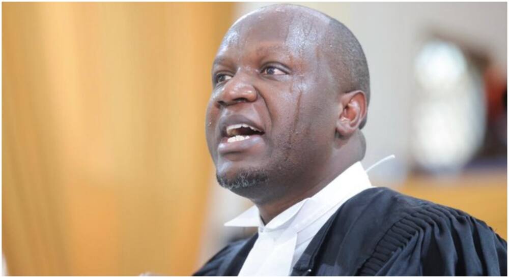 Lawyer Willis Otieno. Photo: Willis Otieno.