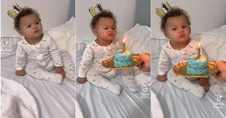 Little boy looks unimpressed, birthday cake, one year old