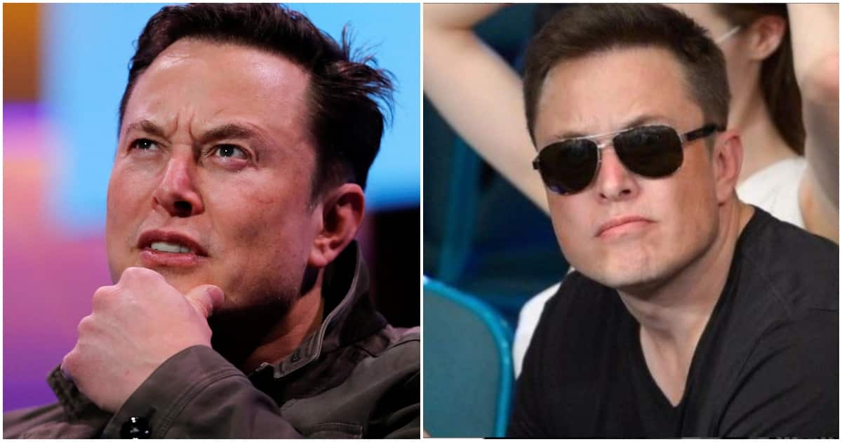 Elon Musk Faces Online Backlash For Criticising Twitter Employees