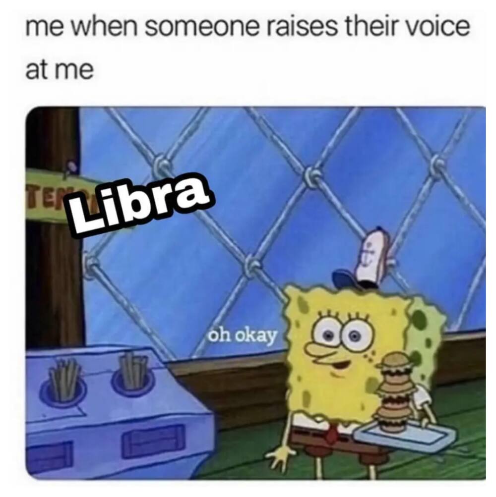 libra memes