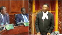 Moses Wetang’ula Suspends Vetting of Principal Secretary Nominees After High Court Order